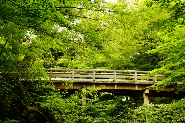 画像に alt 属性が指定されていません。ファイル名: 27585056_s-2.jpg